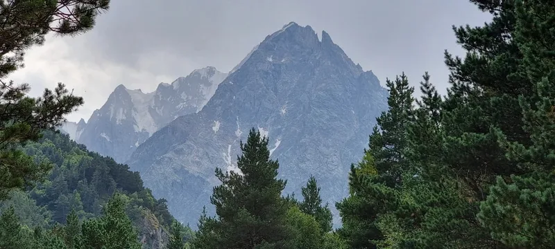 Татьяна