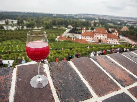 In vino veritas! Экскурсия по Праге с бокалом вина.