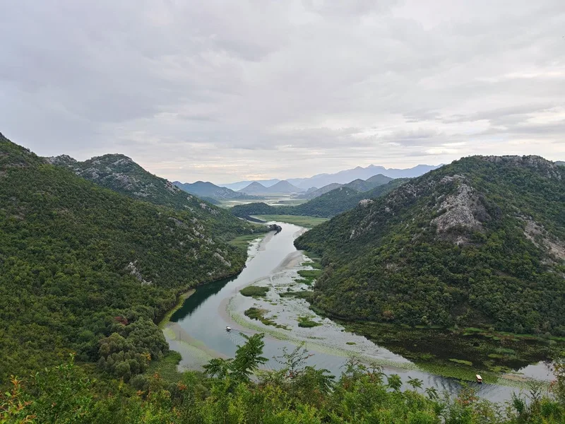 Затуливетер