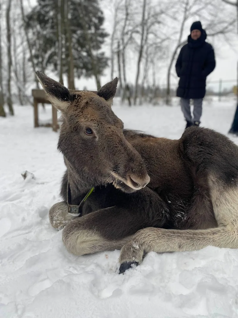 Ольга