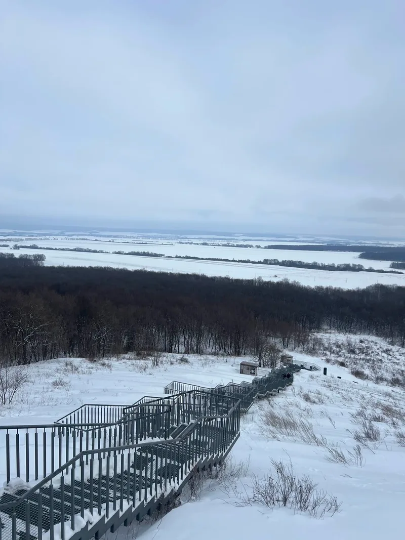 Ира