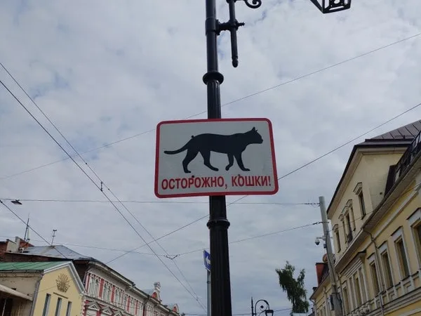 Нижегородские мурлыки