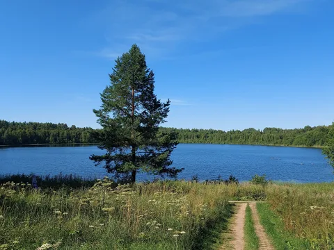 Экскурсия на озеро Светлояр с посещением сырной фермы