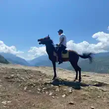 Владимир