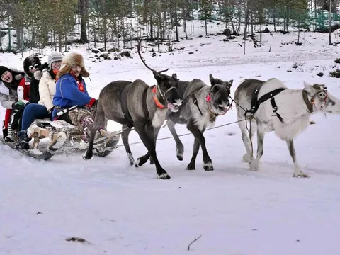 Север изнутри: деревня саамов