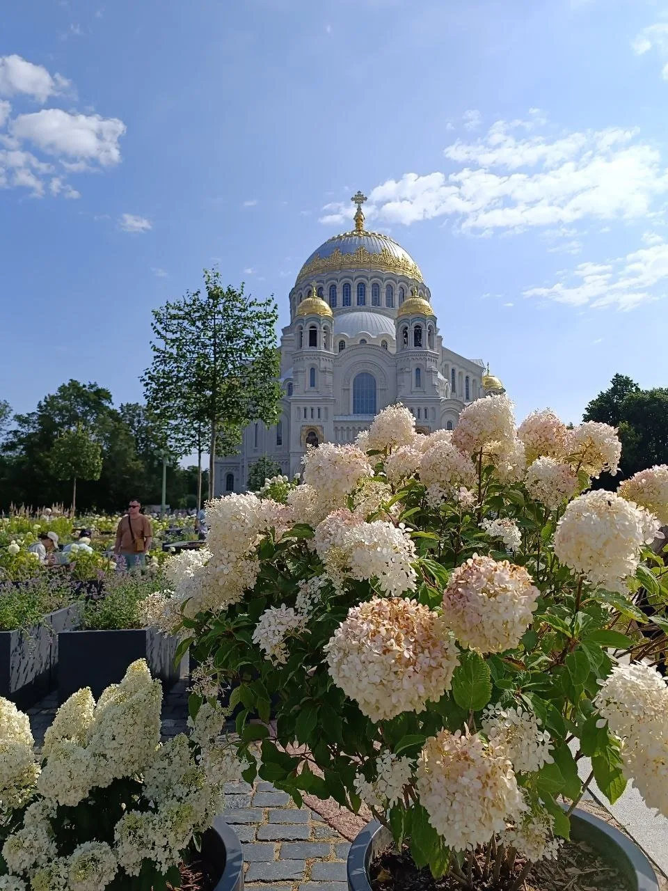 Город воинской славы Кронштадт (в небольшой группе)