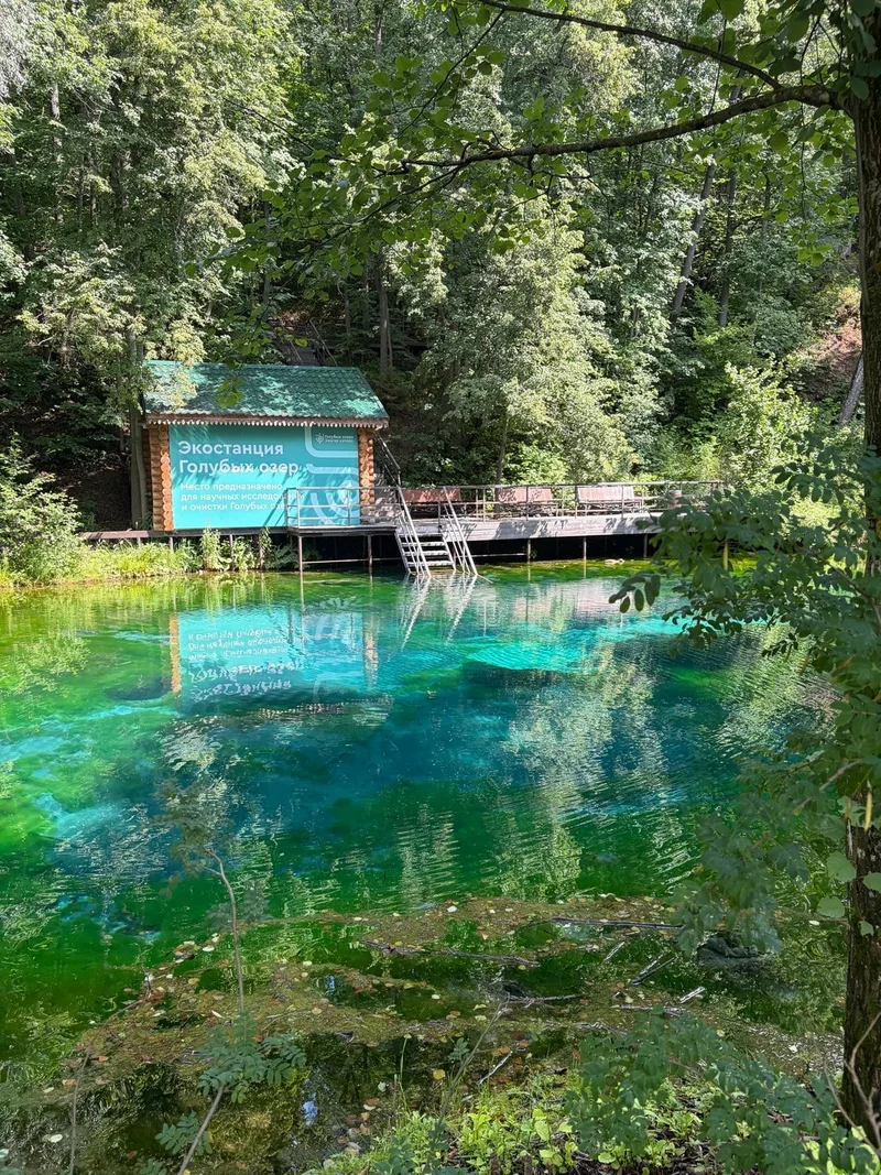 Венера