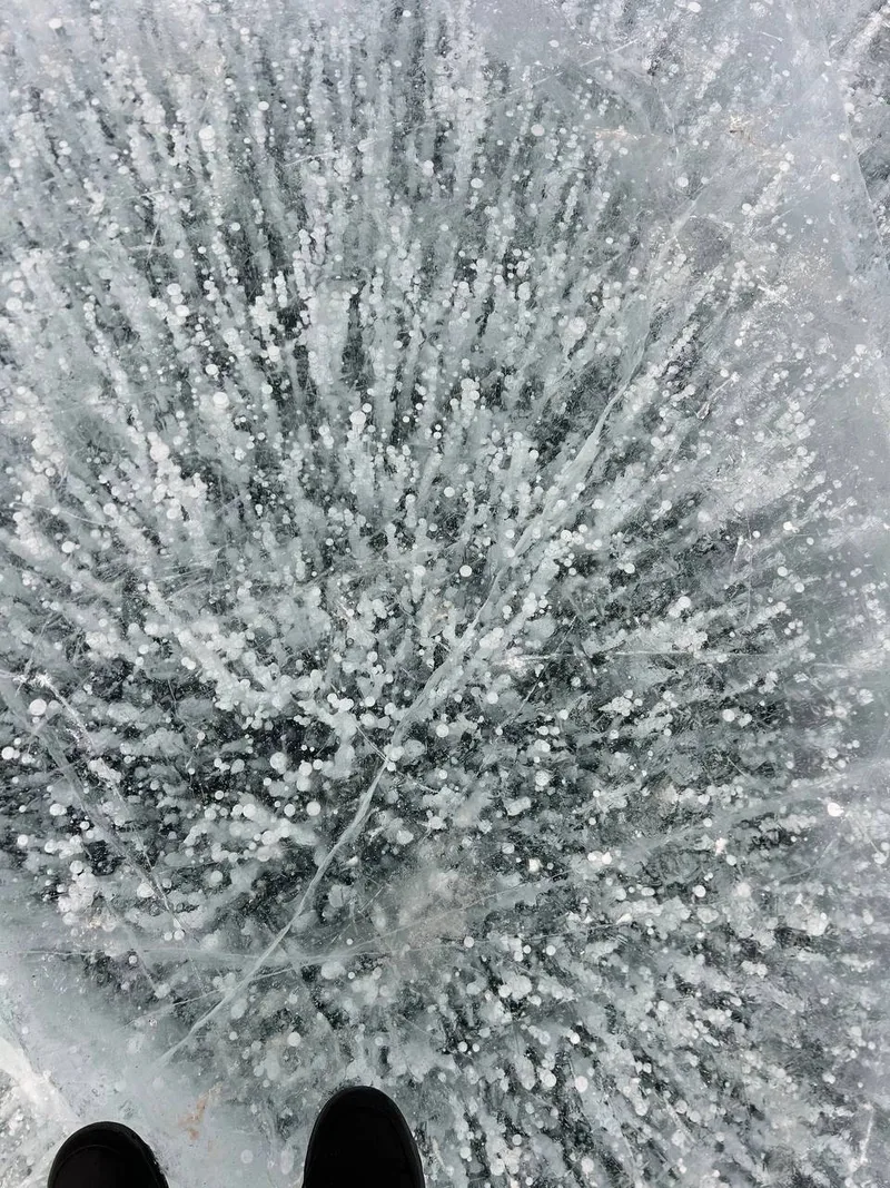 Евгения