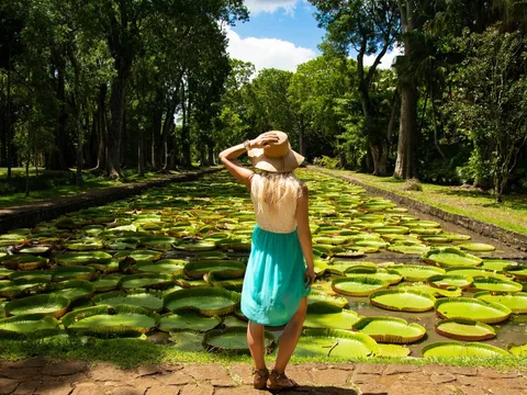 Северный Маврикий и столица острова Порт-Луи