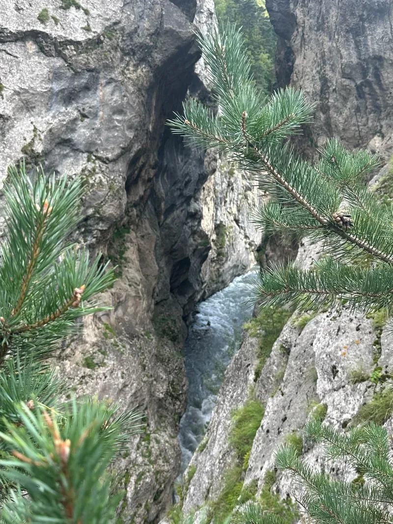 Владимир