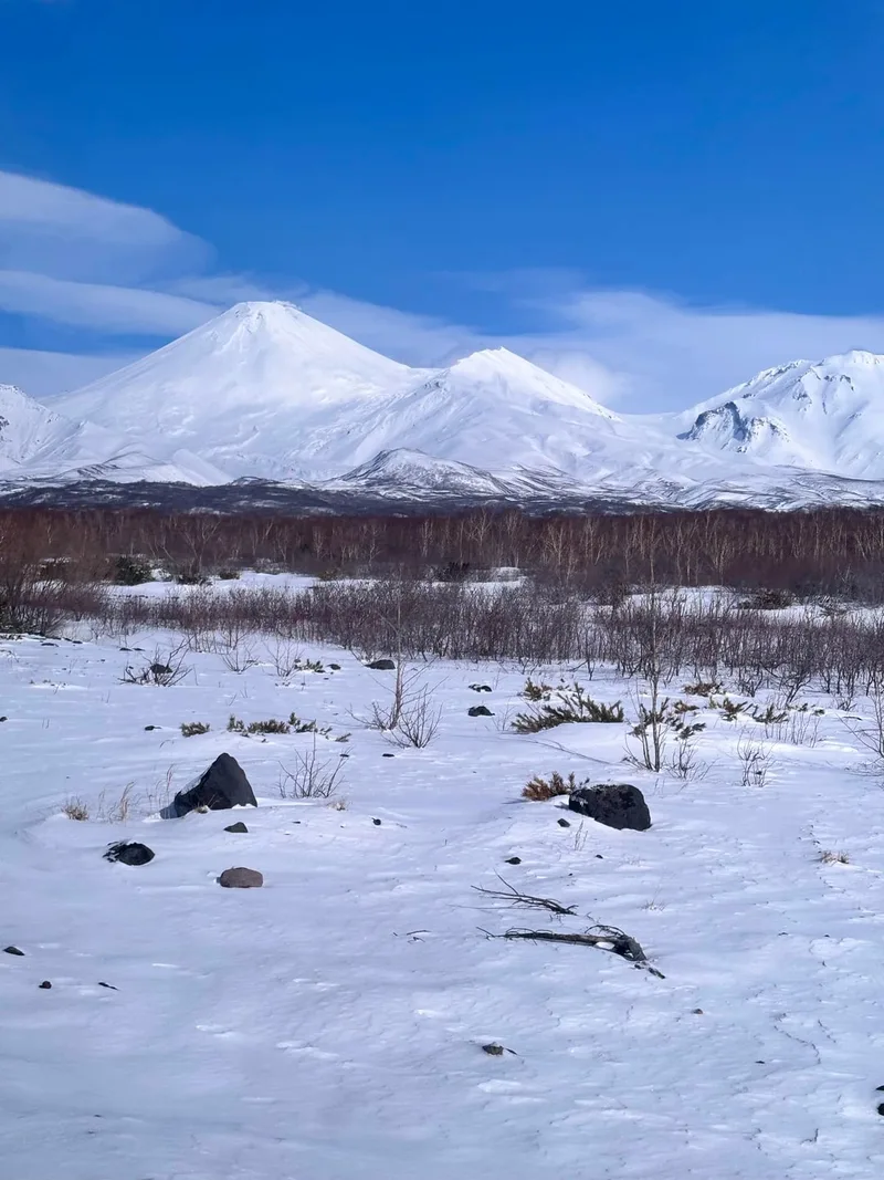 Николай