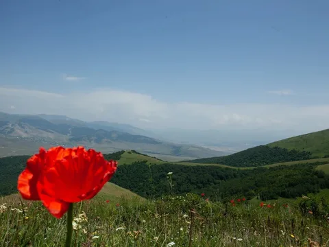 Цветущие горы Самарканда