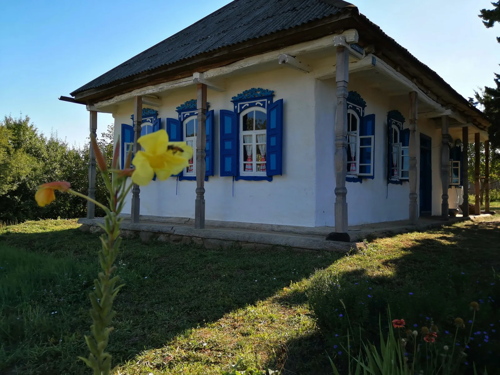 Из Краснодара в Азовскую к казакам