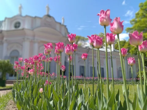 Экскурсия по Ораниенбауму