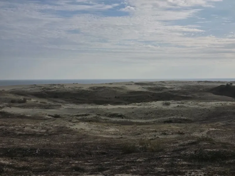 Алена