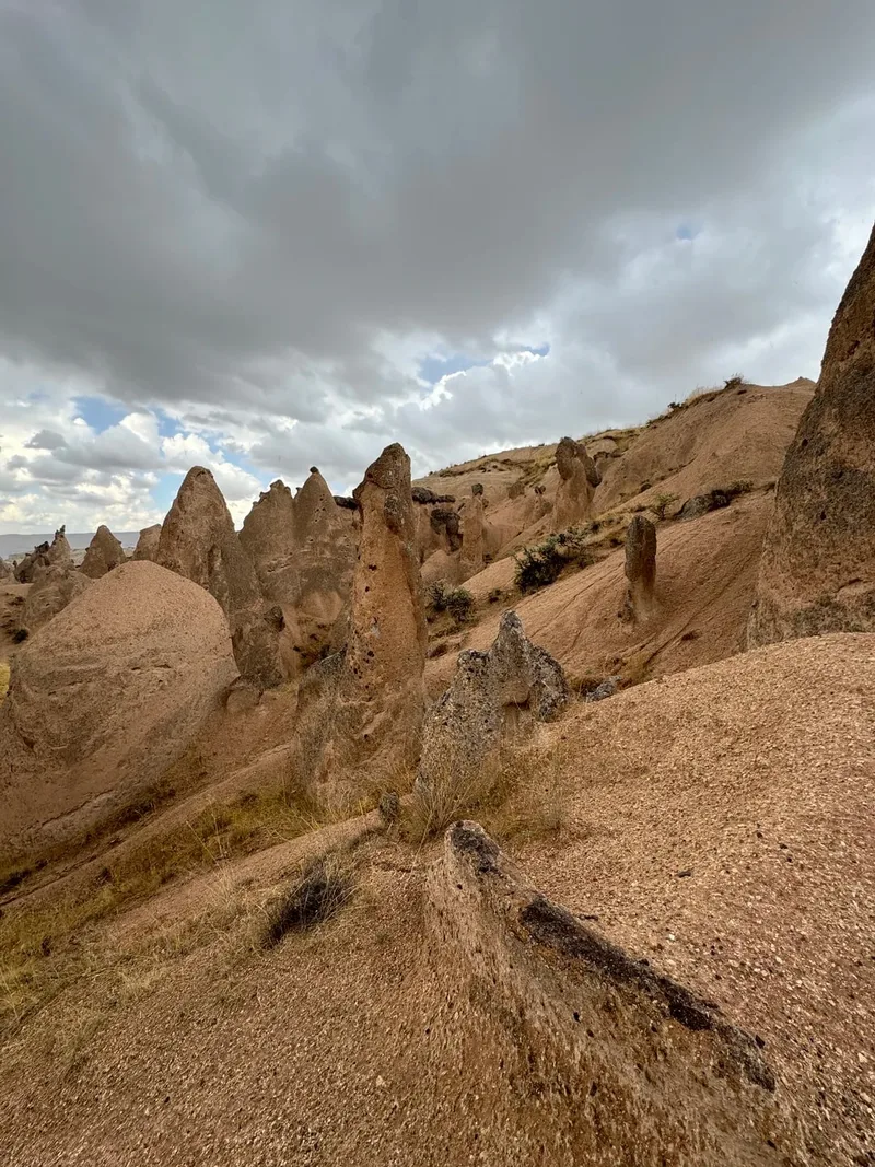 Аполлинария