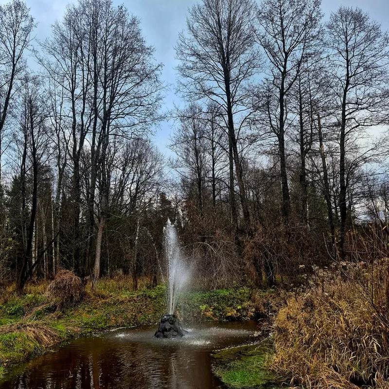 Мария