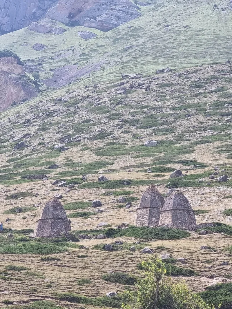 Артемьева