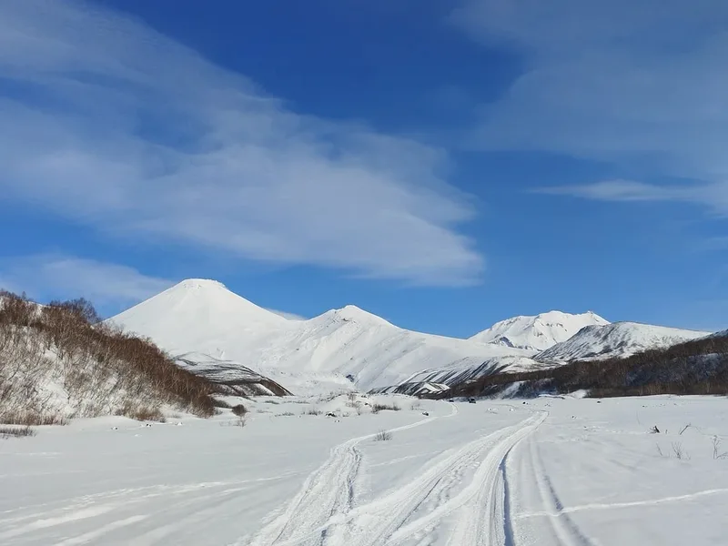 Ксения