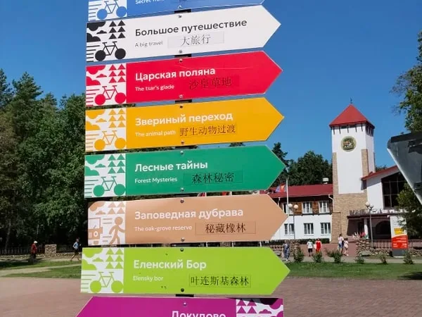 В Беловежскую пущу и Каменец — из Бреста
