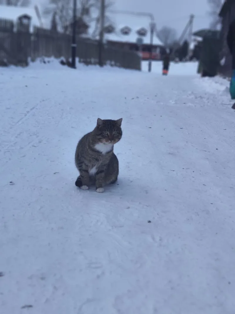 Анна