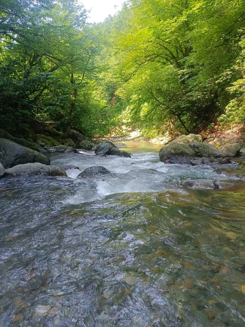 Наталия