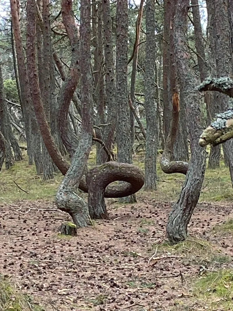 Ольга