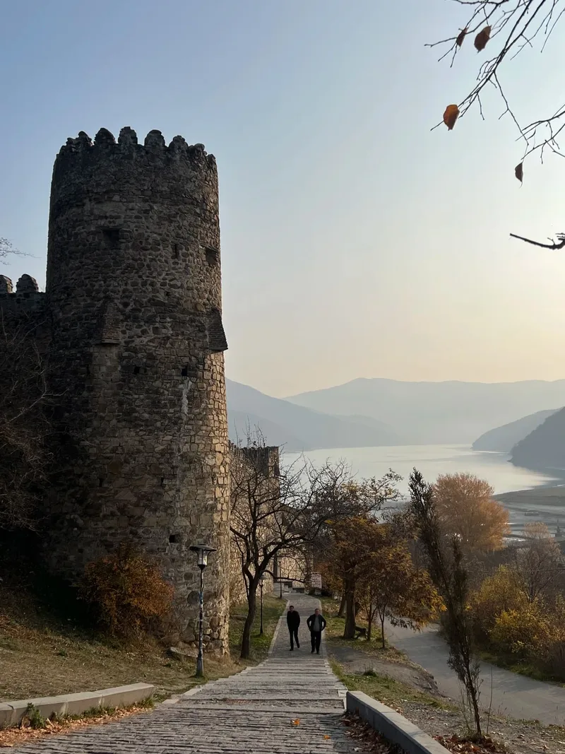 Алена
