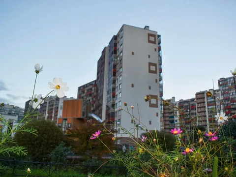 Кудрово: город цветных гигантов через дорогу от Петербурга
