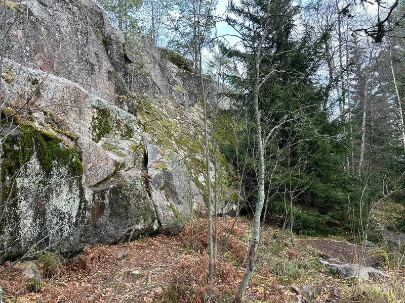 Наталья
