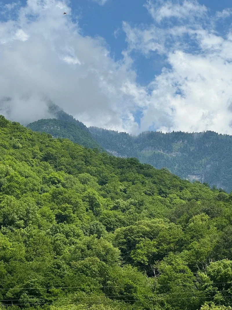 Александр