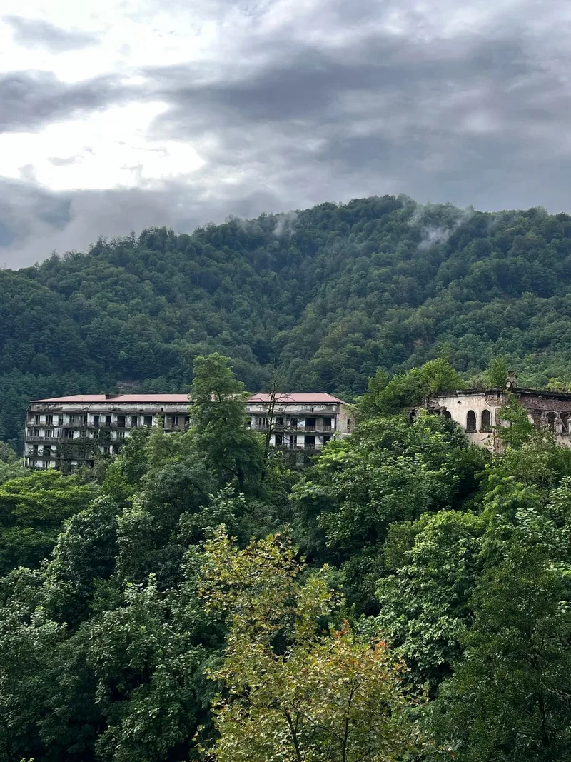 Алена