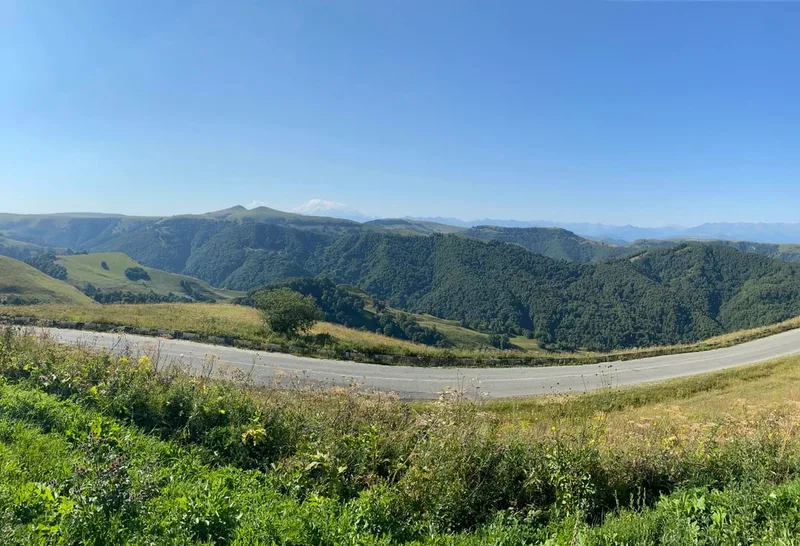 Лиана