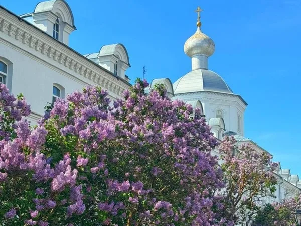 Волнами к Валааму: из Сортавалы на катере