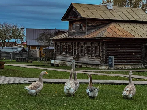 Суздаль: прогулка по старинной деревне