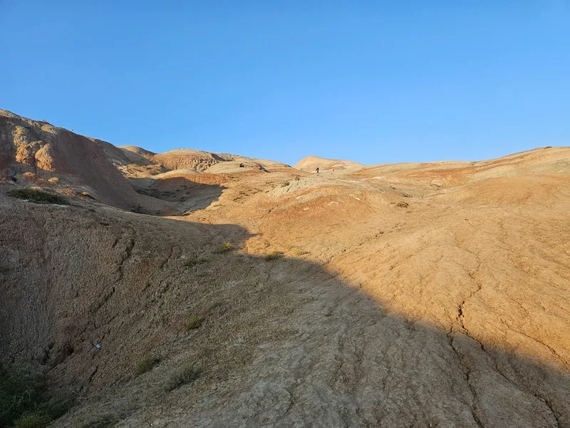 Карина