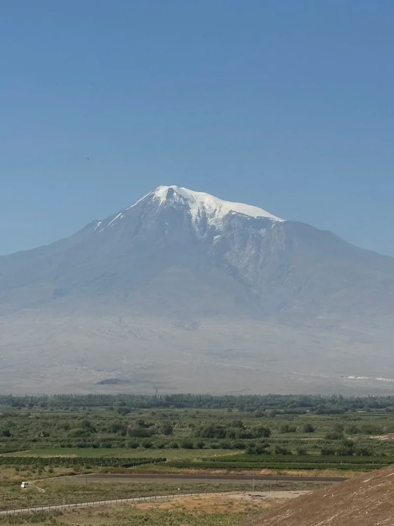 Альбина
