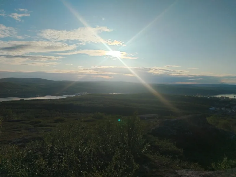 Олеся