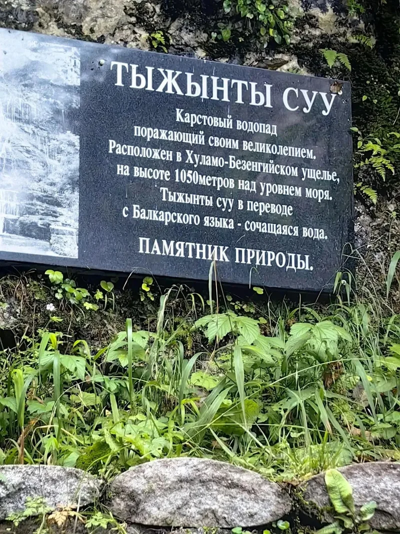 Николаева
