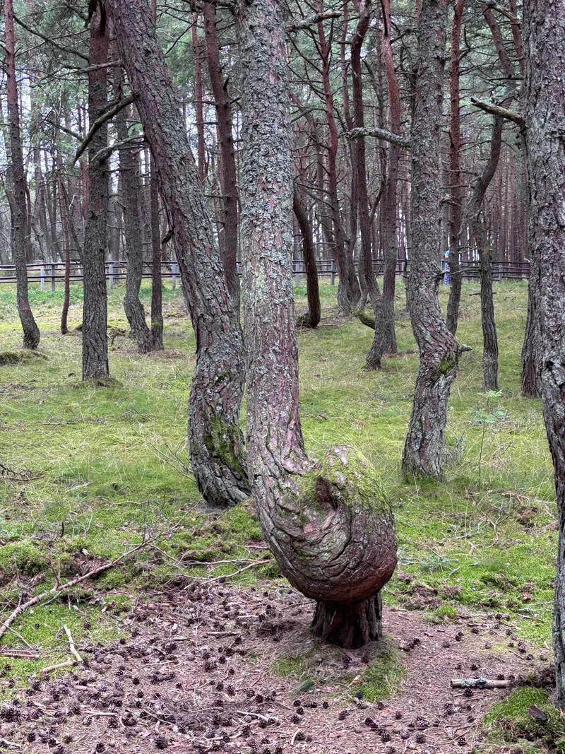 Вера