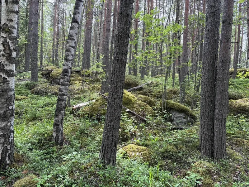 Катерина