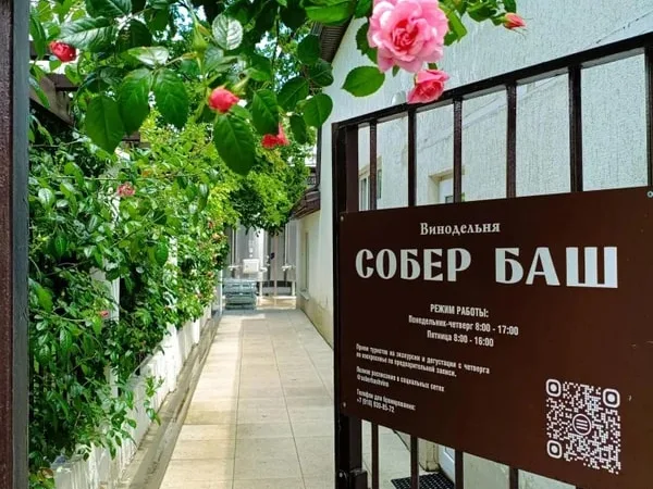 За видами и винами — на Собер Баш!
