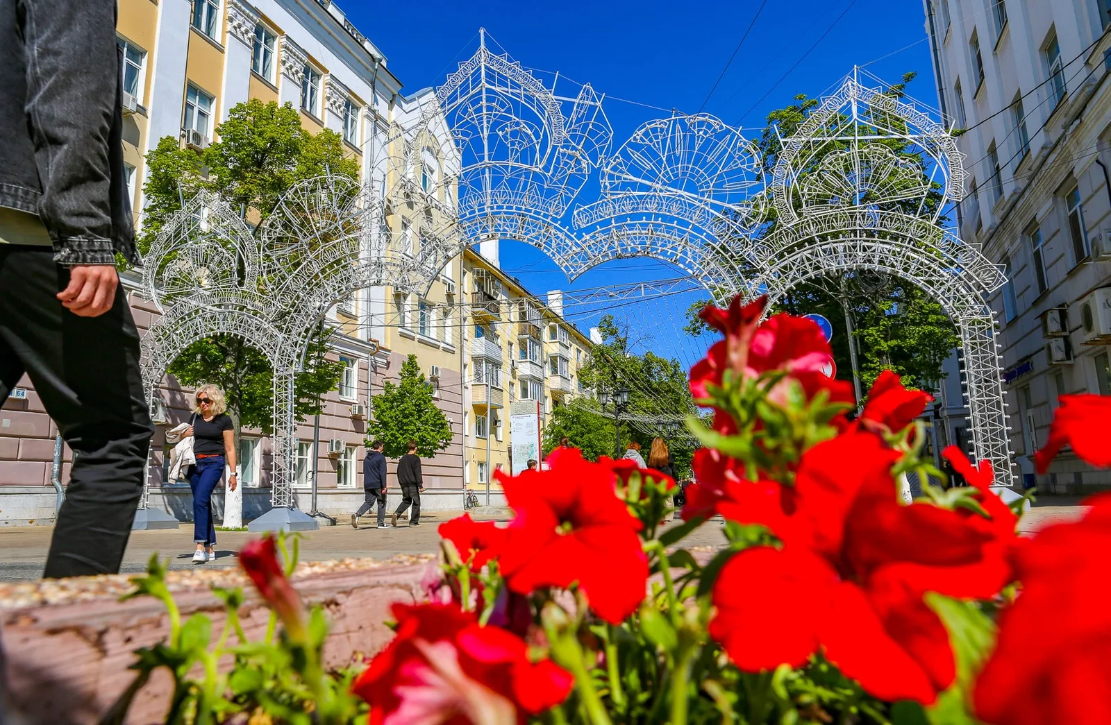 Пешеходная обзорная экскурсия по Рязани