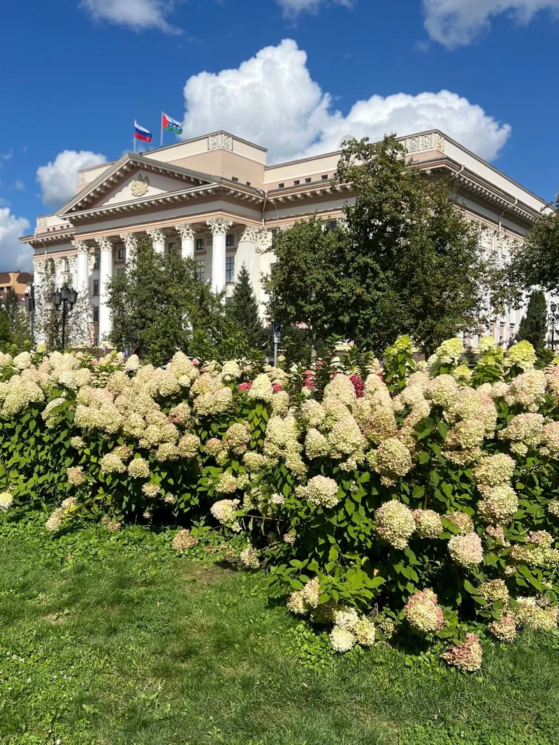 Дмитрий