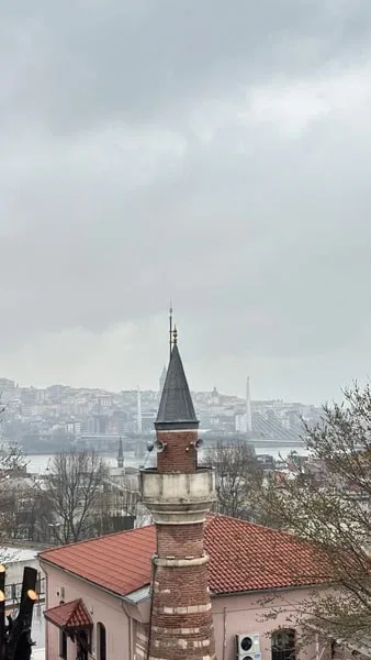 Яна
