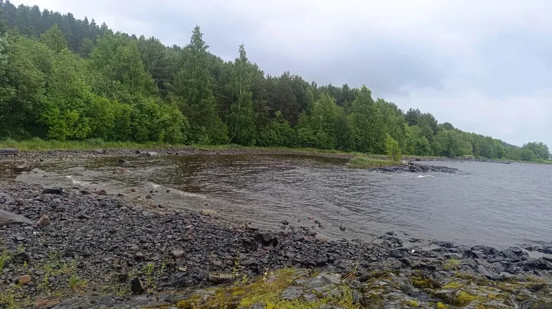 Алена