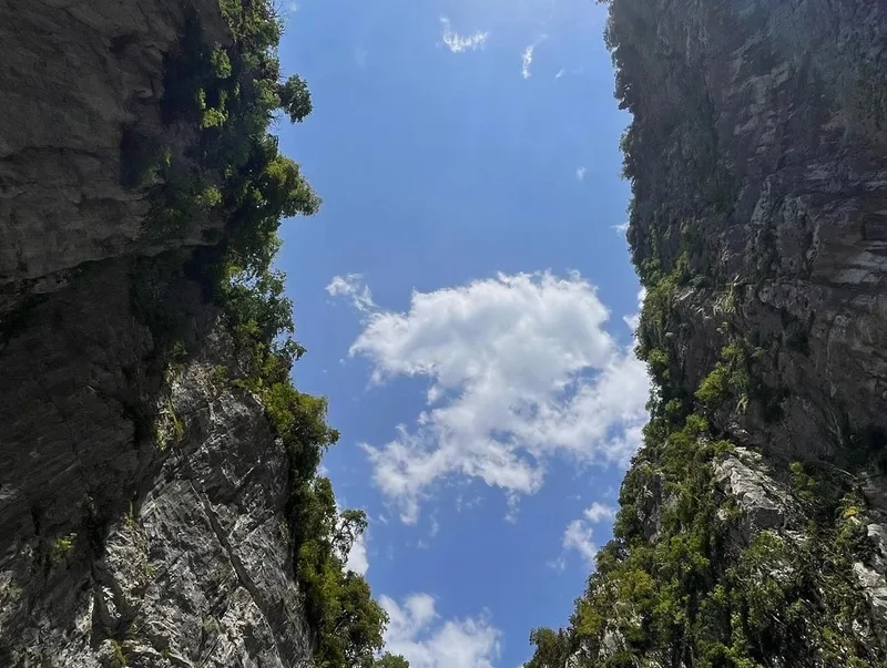 Татьяна