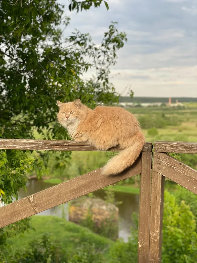 Юлия