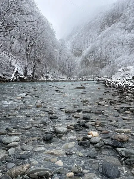 Соломинова