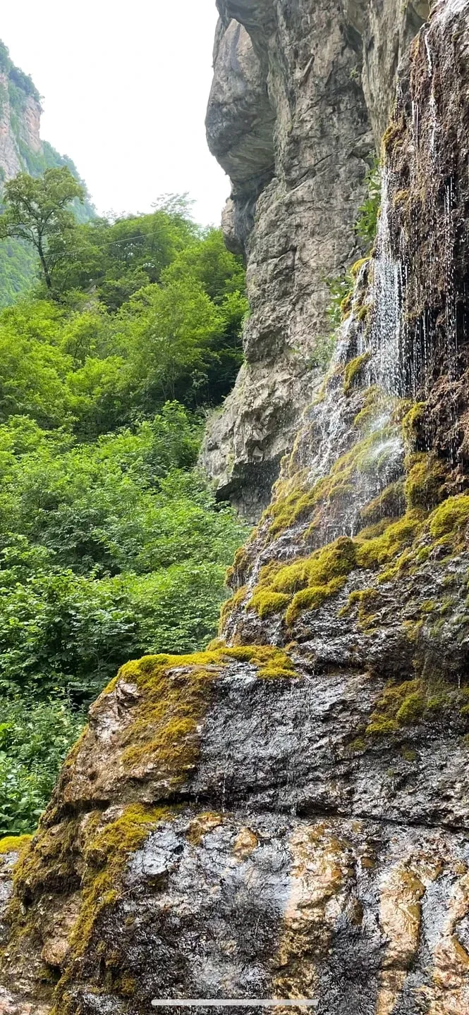 ольга